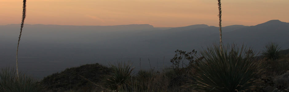 Sierras y Llanuras Coahuilenses